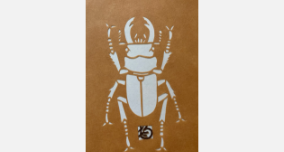 ステンシルワークショップカブトムシ型紙