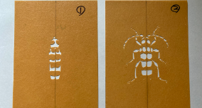 ステンシルワークショップカミキリムシ工程